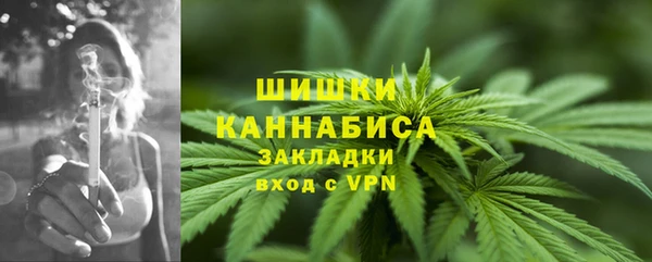 молекула духа Бронницы